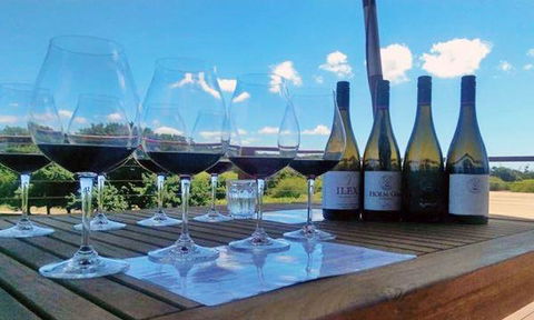 Currency Creek Winery Restaurant - Grafton Accommodation 14