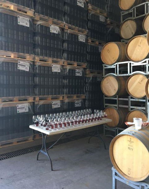 Currency Creek Winery Restaurant - Grafton Accommodation 7