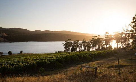 Currency Creek Winery Restaurant - Grafton Accommodation 8