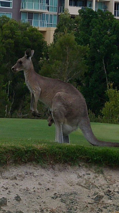 T On Course - Grafton Accommodation 3
