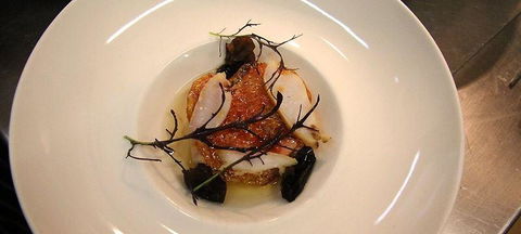 The Peak Restaurant At Spicers Peak Lodge - Grafton Accommodation 1