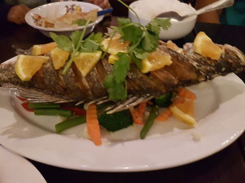 White Jasmine Thai Cuisine - Grafton Accommodation 0
