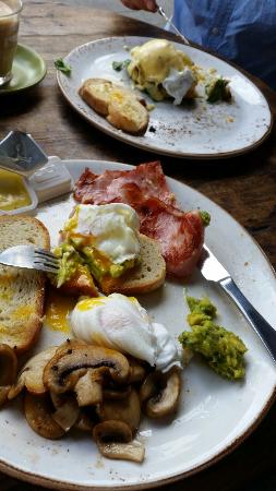 Il Cibo - Grafton Accommodation 0