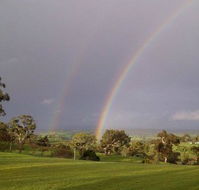 Tenafeate Creek Winery - Grafton Accommodation