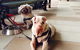 The Lazy Dog - thumb 1