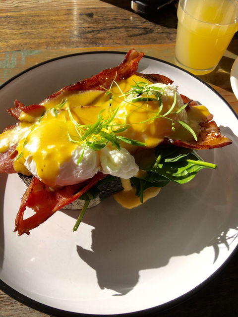 The Lazy Dog - Grafton Accommodation 6