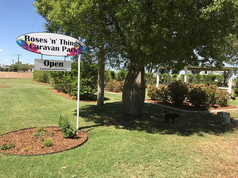 Roses 'n Things Van Park - Grafton Accommodation 0