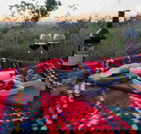 Bunnyconnellen Olive Grove  Vineyard - Grafton Accommodation