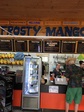 Frosty Mango - Grafton Accommodation 0