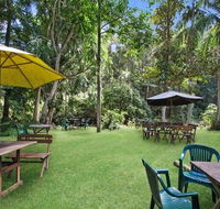 Rainforest - Grafton Accommodation
