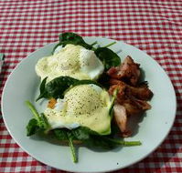 The Shed Cafe - Grafton Accommodation