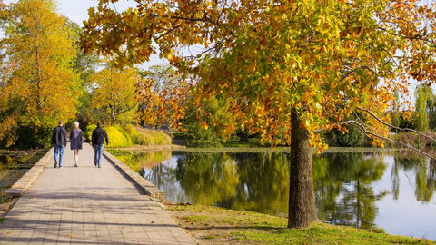 Crowne Plaza Canberra - Grafton Accommodation 17