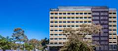 Mantra MacArthur Hotel - Grafton Accommodation 0