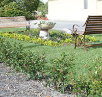 SureStay by BW The Clarence on Melville - Grafton Accommodation