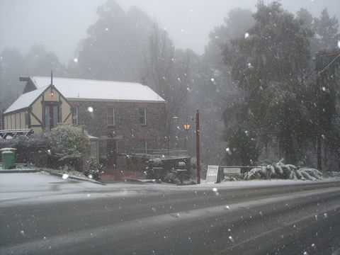 Adeline Bed & Breakfast - Grafton Accommodation 1