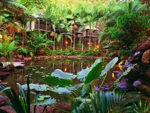 Daintree Eco Lodge & Spa - Grafton Accommodation 0