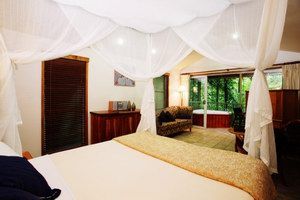 Daintree Eco Lodge & Spa - Grafton Accommodation 1