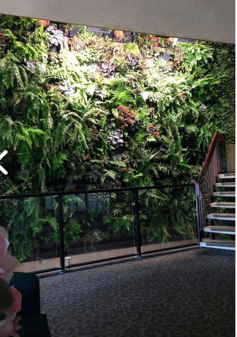 Mid City Hotel Ballart - Grafton Accommodation 2