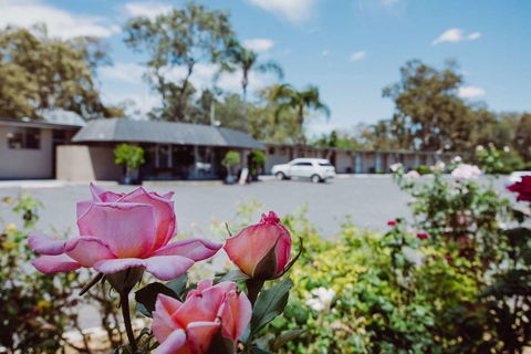 Artesian Spa Motor Inn - Grafton Accommodation 2