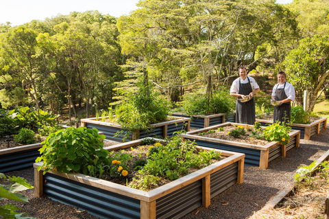 Spicers Tamarind  Retreat - Grafton Accommodation 1