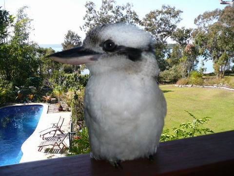 Yarrandabbi Dreaming Boutique B&B - Grafton Accommodation 2