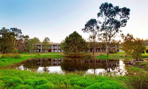 York On Lilydale Resort - Grafton Accommodation 0