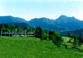 Hillcrest Mountain View Retreat - Grafton Accommodation 2