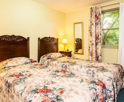 Avonmore On The Park - Grafton Accommodation 2