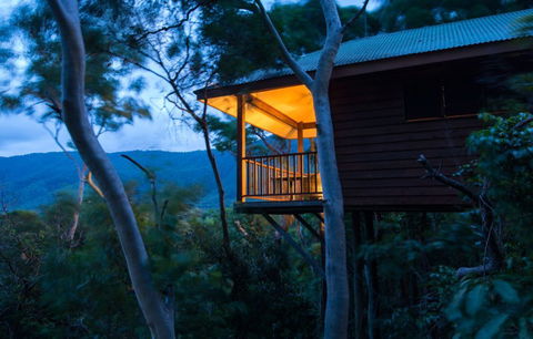Thala Beach Nature Reserve - Grafton Accommodation 0