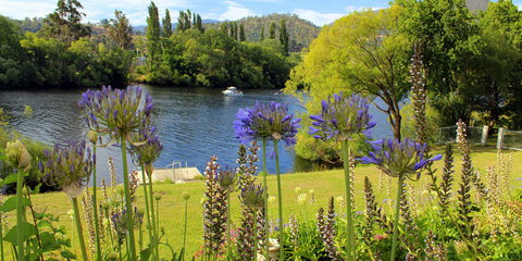 Woodbridge on the Derwent - Grafton Accommodation 3