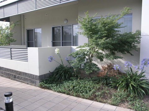 Kesh At Aamira - Grafton Accommodation 16
