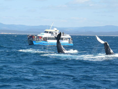 Heritage House Motel & Units - Grafton Accommodation 28