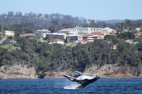 Heritage House Motel & Units - Grafton Accommodation 27