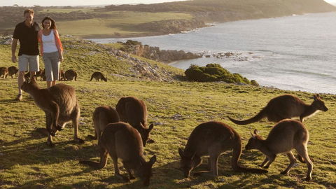 Kangaroo Island Seafront - Grafton Accommodation 13