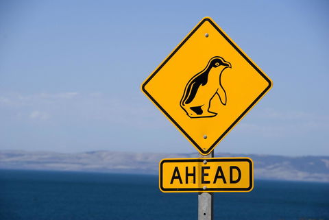 Kangaroo Island Seafront - Grafton Accommodation 43