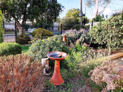 Beautiful Garden House - Grafton Accommodation 21