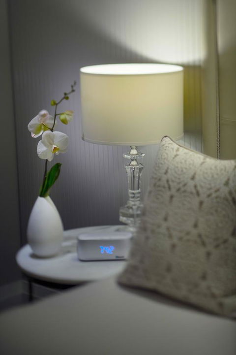 Mayfair Hotel - Grafton Accommodation 13