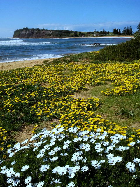 Serenity On Narrabeen Beach - 1Bdr Beachside Retreat - Grafton Accommodation 10