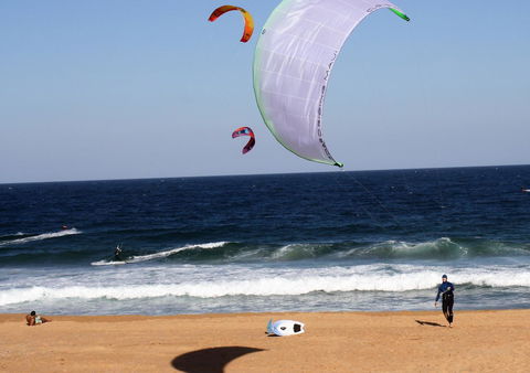 Serenity On Narrabeen Beach - 1Bdr Beachside Retreat - Grafton Accommodation 0