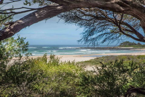 BIG4 Tasman Holiday Parks - Racecourse Beach - Grafton Accommodation 7