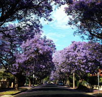 Monaco Court Apartment Adelaide - Grafton Accommodation