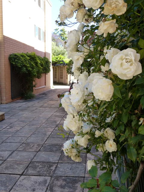 Monaco Court Apartment Adelaide - Grafton Accommodation 19