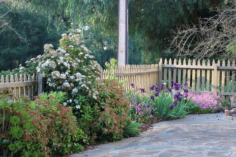 Merellaan - Grafton Accommodation 1