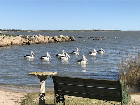 Hydeaway Bay - Own Private Bay + Kayaks - Grafton Accommodation 18
