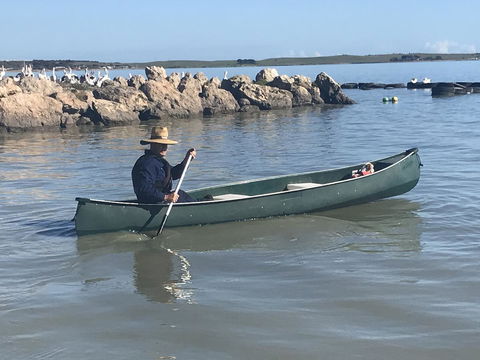 Hydeaway Bay - Own Private Bay + Kayaks - Grafton Accommodation 32
