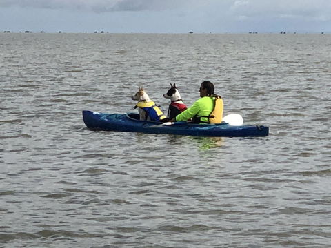 Hydeaway Bay - Own Private Bay + Kayaks - Grafton Accommodation 31