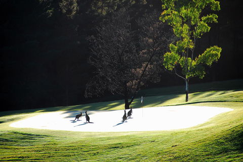 SkyView Villa - Grafton Accommodation 3