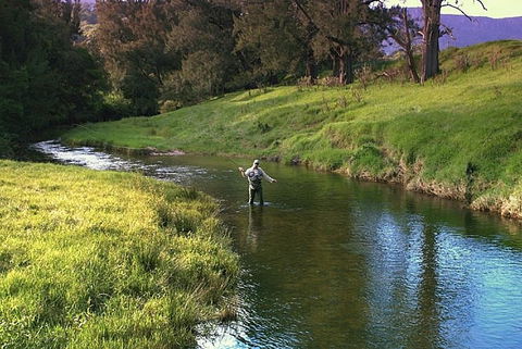 SkyView Villa - Grafton Accommodation 17