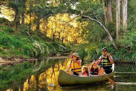 SkyView Villa - Grafton Accommodation 19