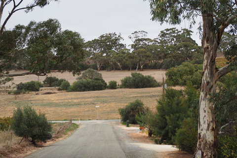 32 West B&B - Grafton Accommodation 4